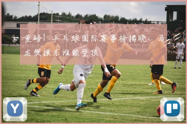 重磅!乒乓球国际赛事榜揭晓,马龙樊振东谁能登顶