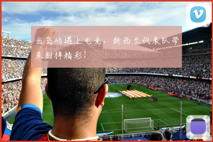 当岛屿遇上电竞，新西兰代表队带来别样精彩！