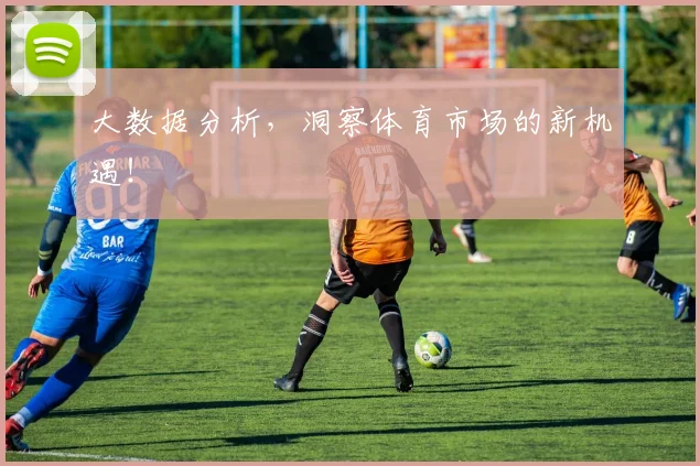 大数据分析,洞察体育市场的新机遇!